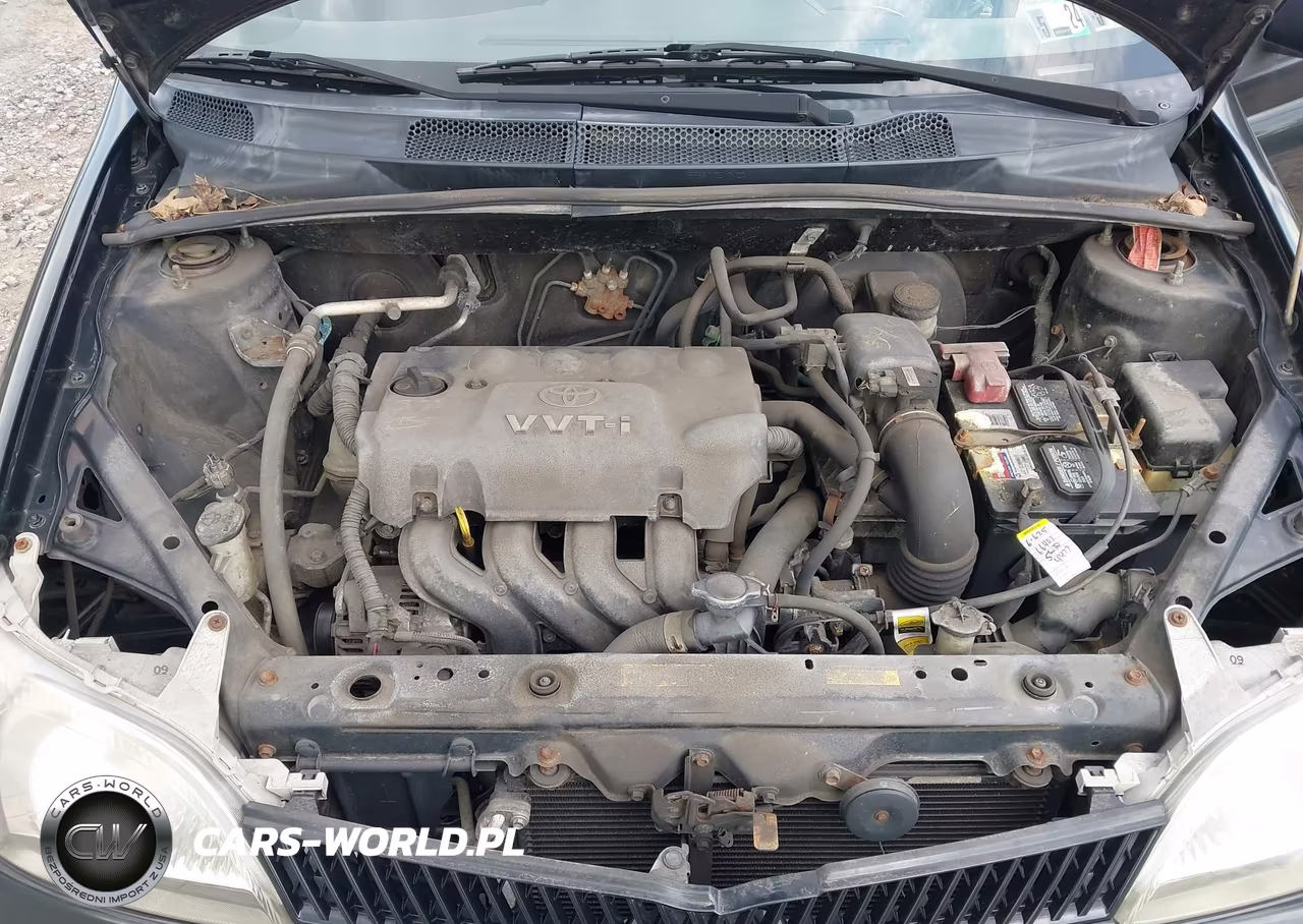 2000 Toyota Echo VIN:JTDBT1231Y0010609 - 10