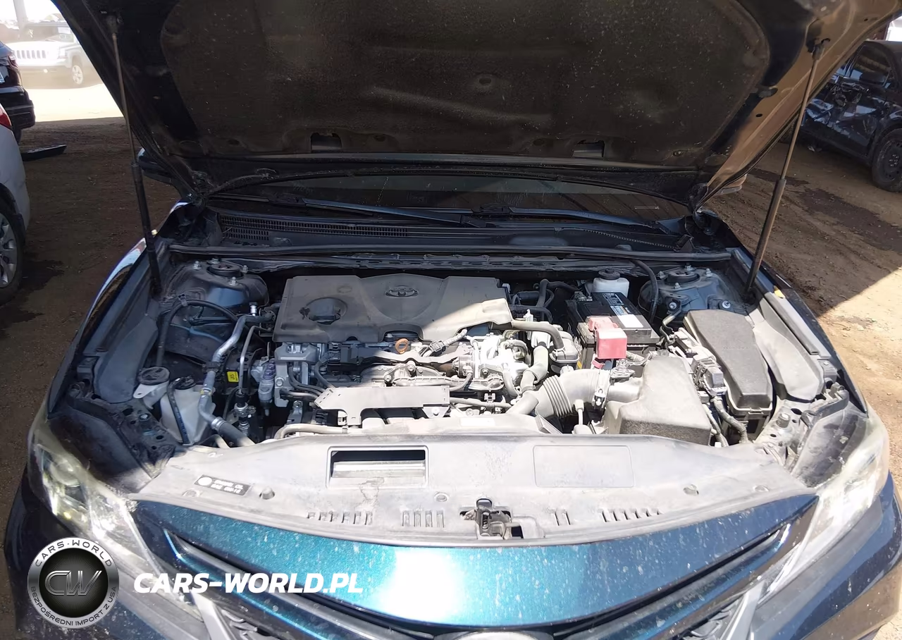 2020 Toyota Camry Se VIN:4T1G11AK6LU870068 - 10