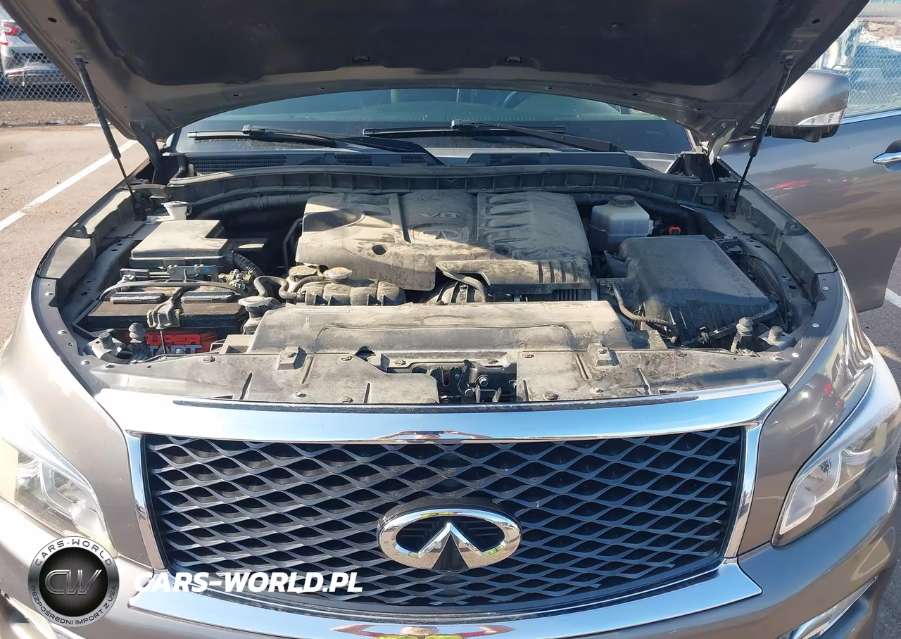 2016 Infiniti Qx80 Limited VIN:JN8AZ2NE2G9121150 - 10