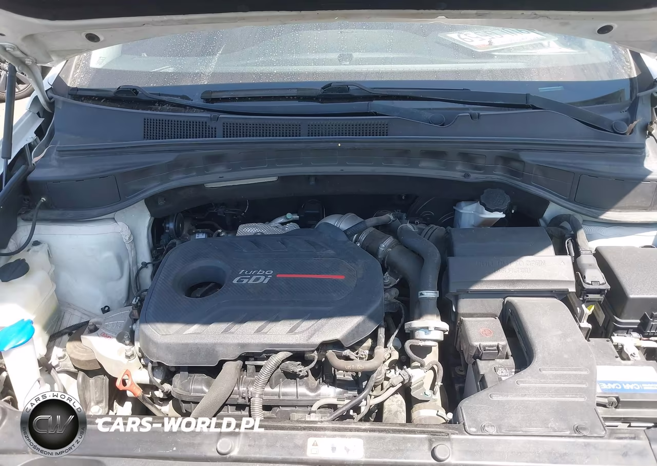 2018 Hyundai Santa Fe Sport 2.0T VIN:5NMZU4LA1JH073421 - 10