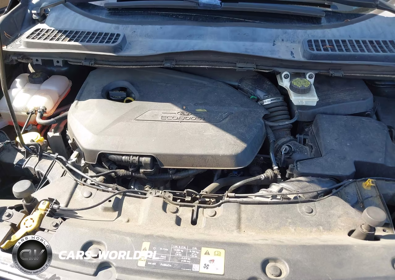 2014 Ford Escape Se VIN:1FMCU0GX2EUD65974 - 10
