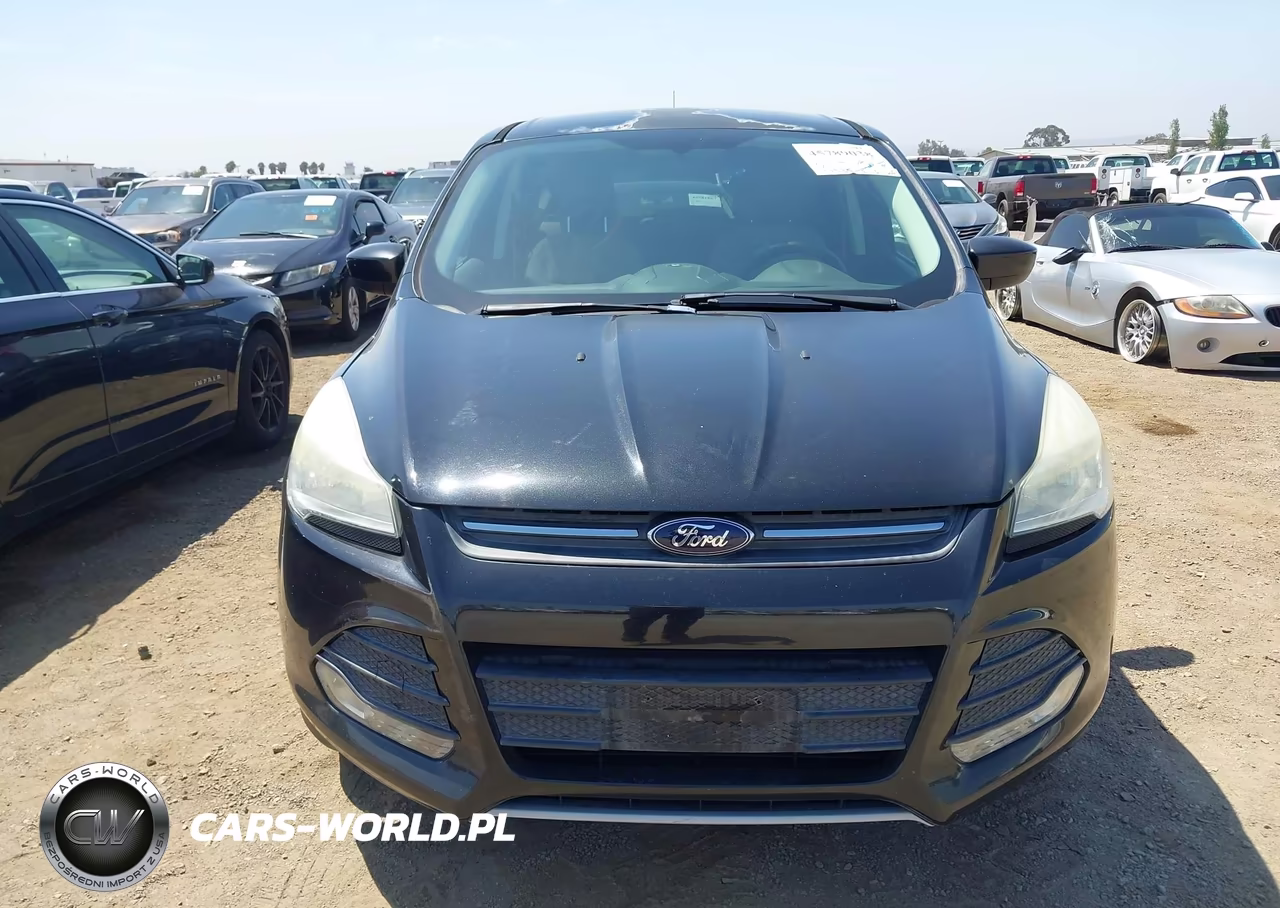 2014 Ford Escape Se VIN:1FMCU0GX2EUD65974 - 12