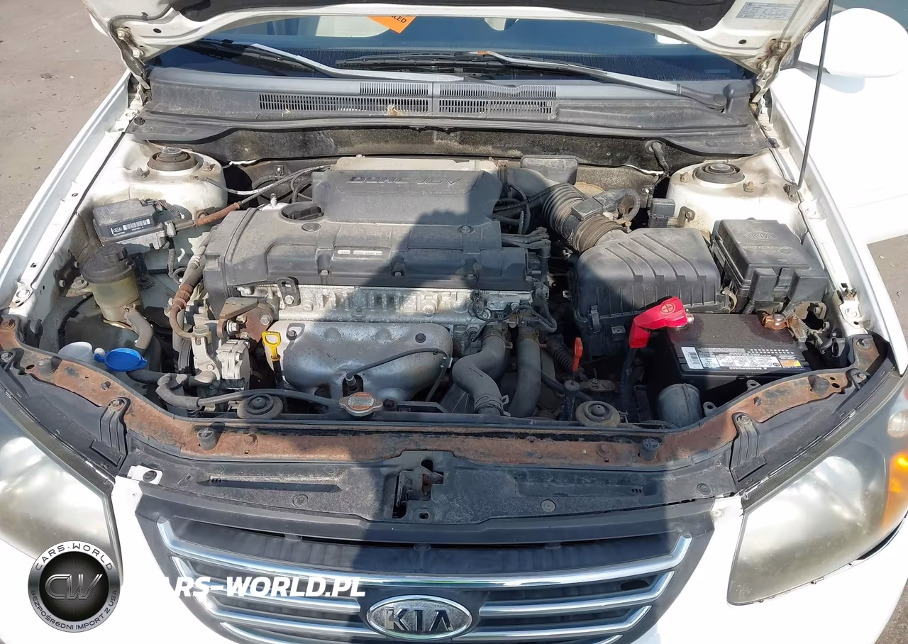2009 Kia Spectra Ex VIN:KNAFE221395624031 - 10