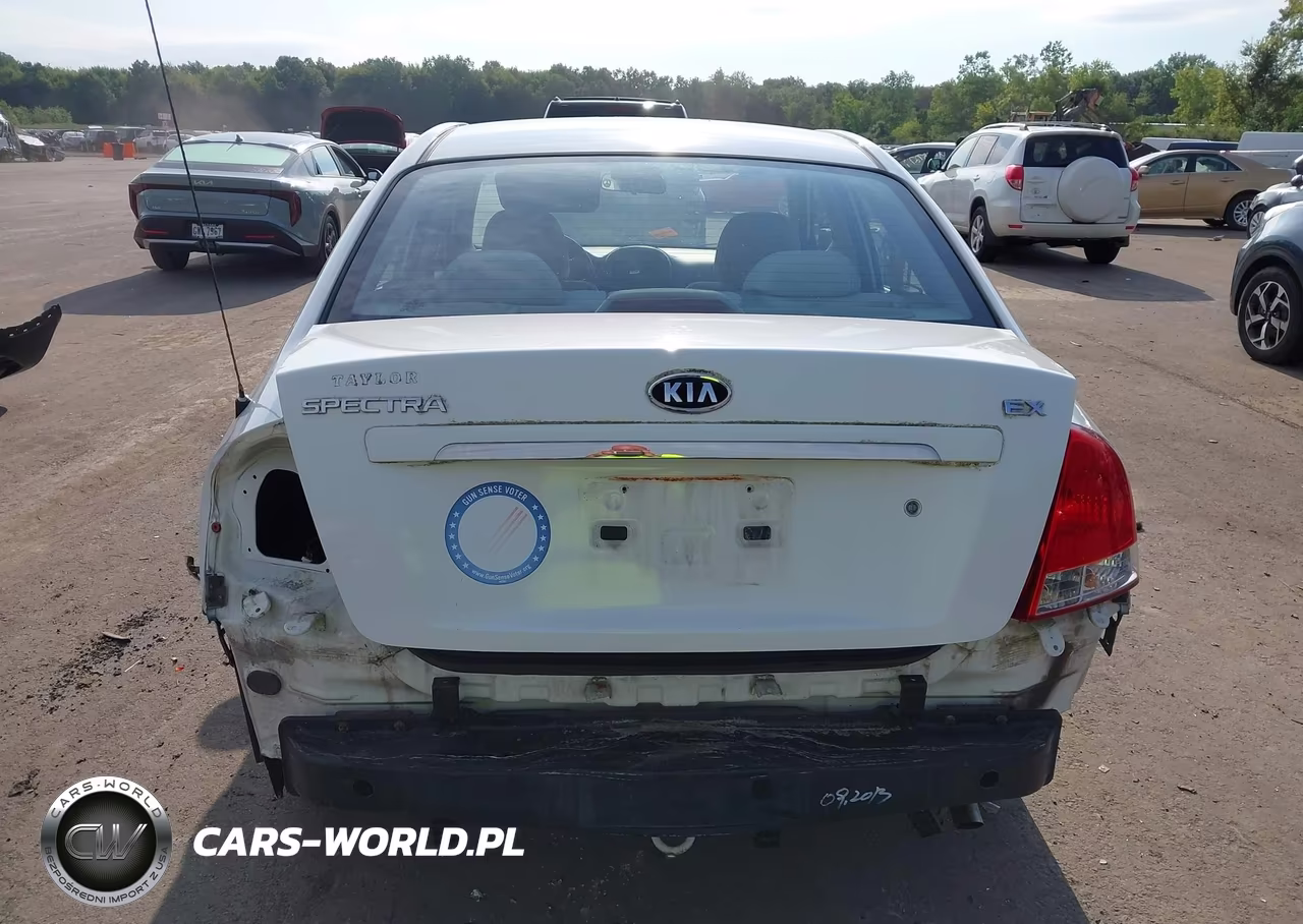 2009 Kia Spectra Ex VIN:KNAFE221395624031 - 17
