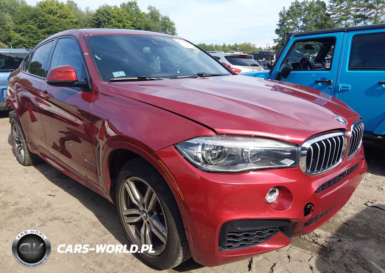 2018 BMW X6 VIN:5UXKU6C53J0Z66608 - 1