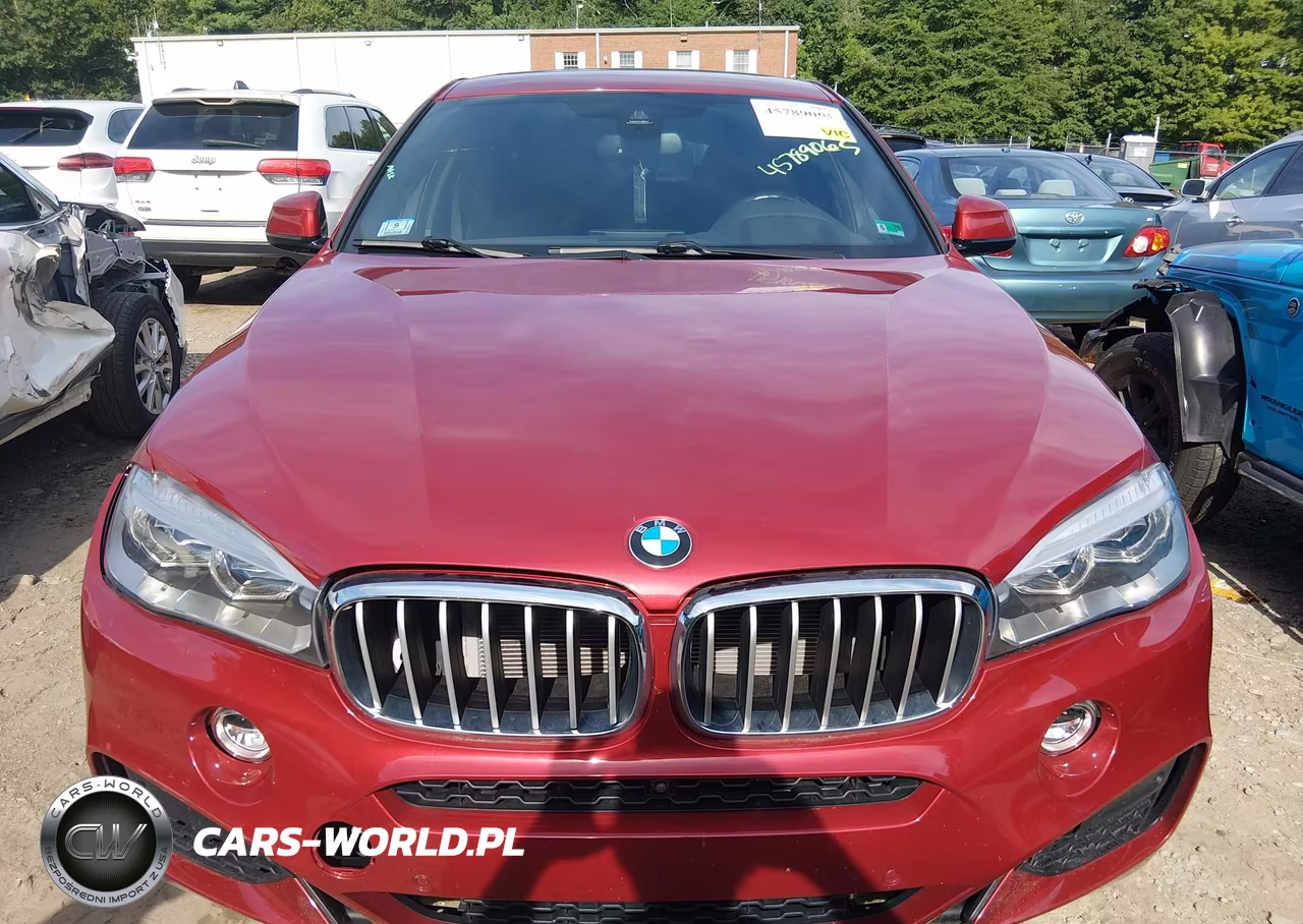 2018 BMW X6 VIN:5UXKU6C53J0Z66608 - 13