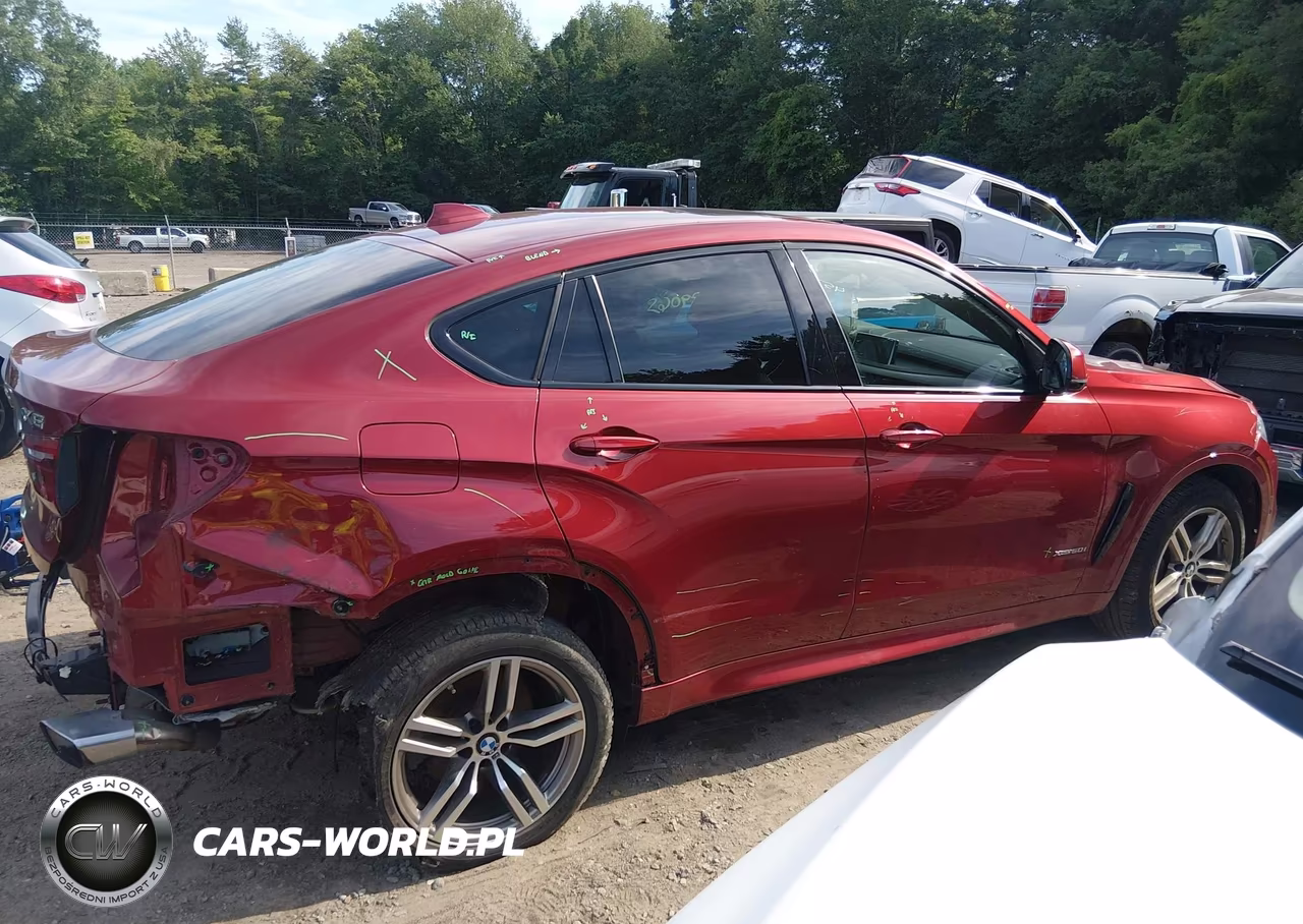 2018 BMW X6 VIN:5UXKU6C53J0Z66608 - 14