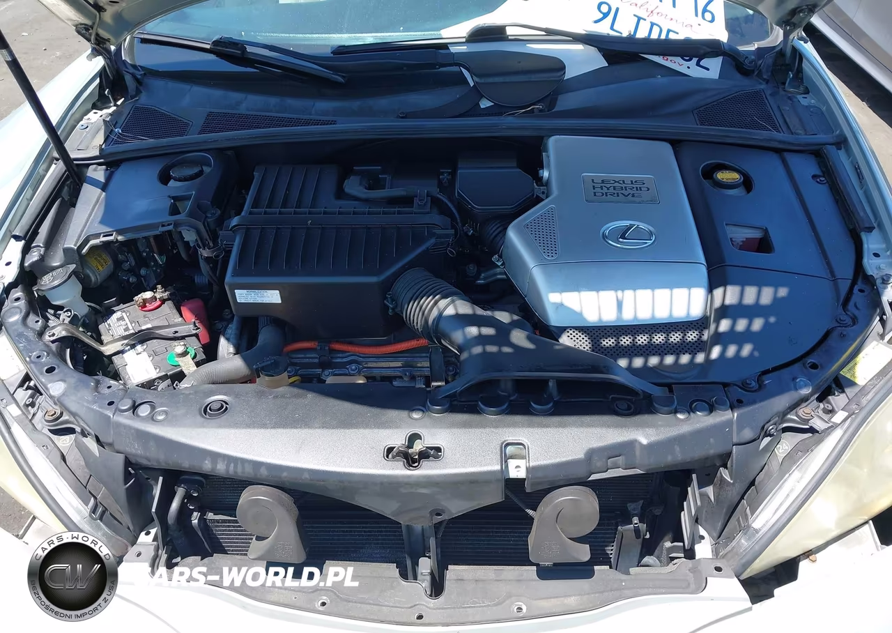 2007 Lexus Rx 400H VIN:JTJGW31U172003162 - 10