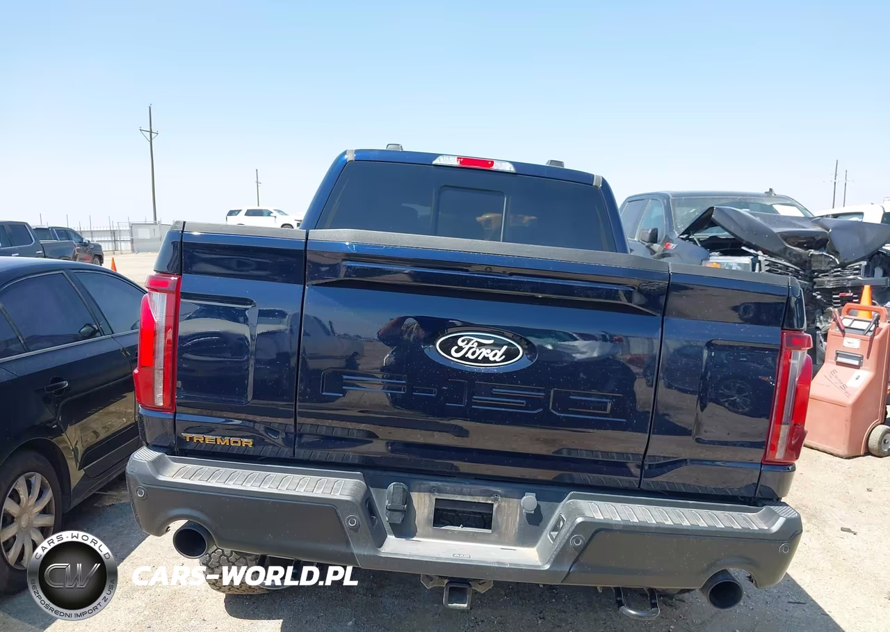 2025 Ford F-150 Tremor VIN:1FTFW4L53SFB65144 - 16