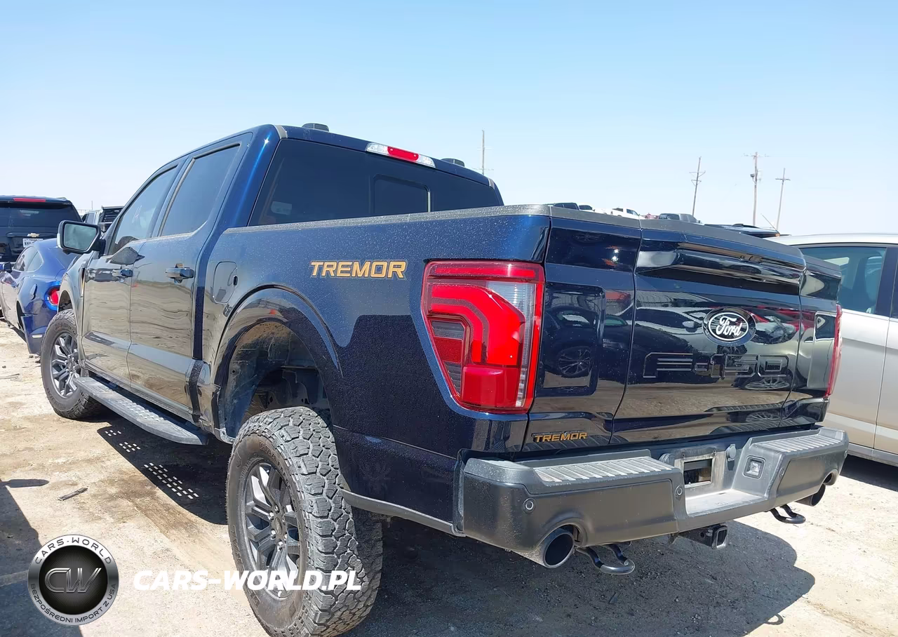 2025 Ford F-150 Tremor VIN:1FTFW4L53SFB65144 - 3
