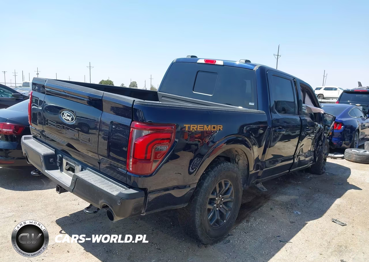 2025 Ford F-150 Tremor VIN:1FTFW4L53SFB65144 - 4