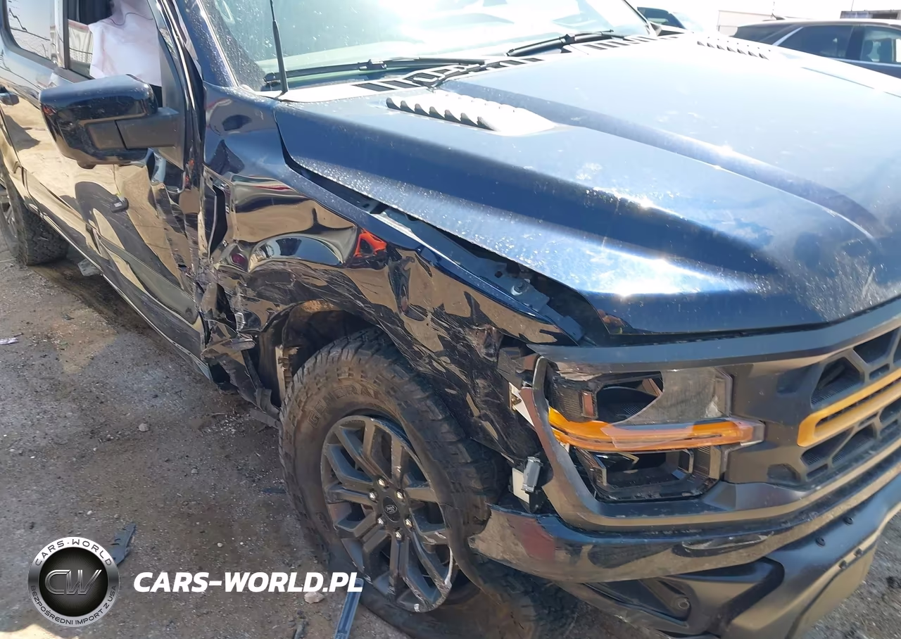 2025 Ford F-150 Tremor VIN:1FTFW4L53SFB65144 - 6