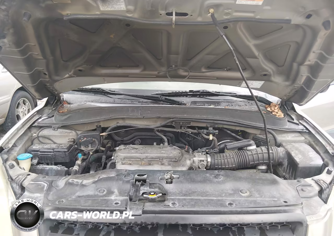 2005 Honda Pilot Lx VIN:2HKYF18195H564812 - 10