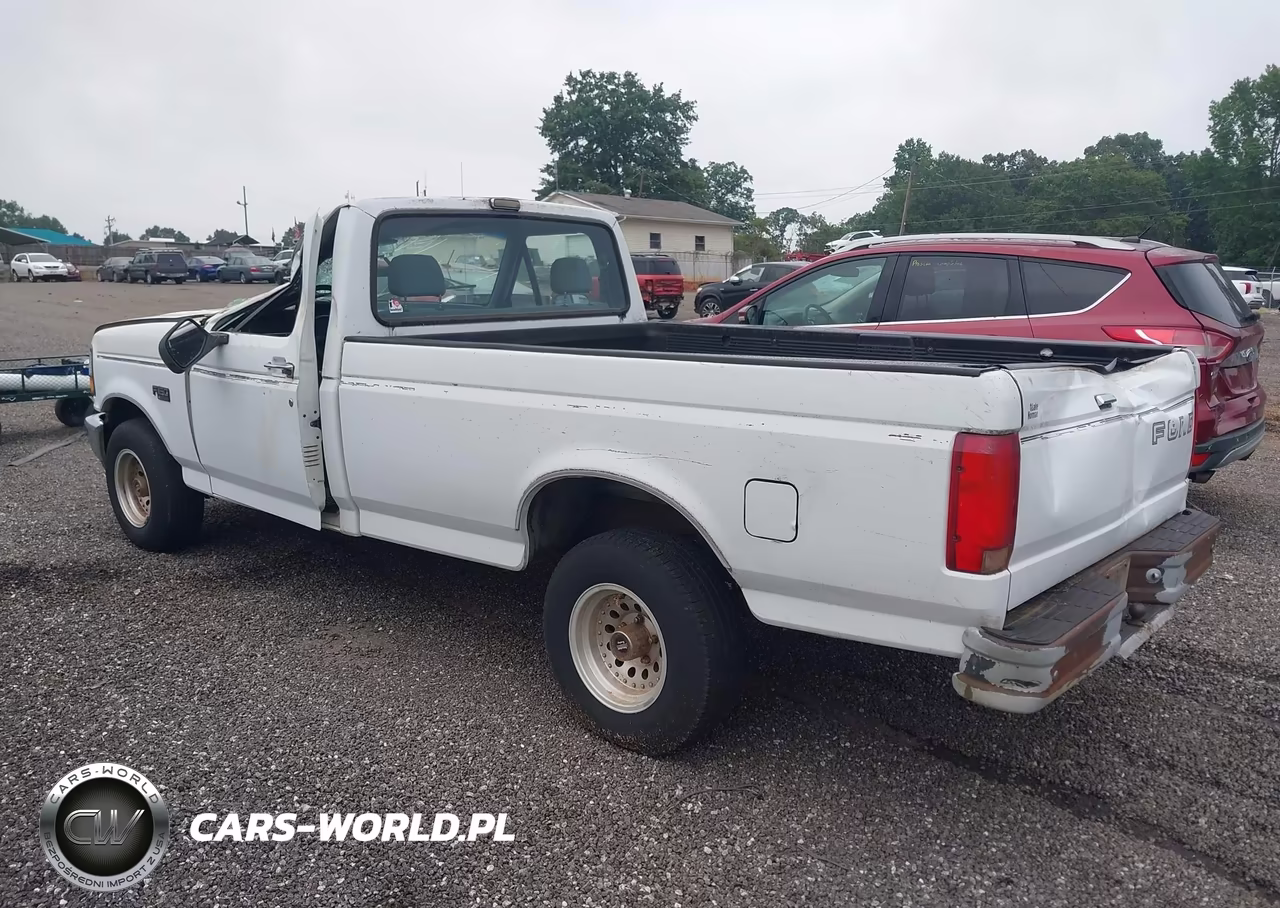 1993 Ford F150 VIN:1FTEF15N7PLA55312 - 3