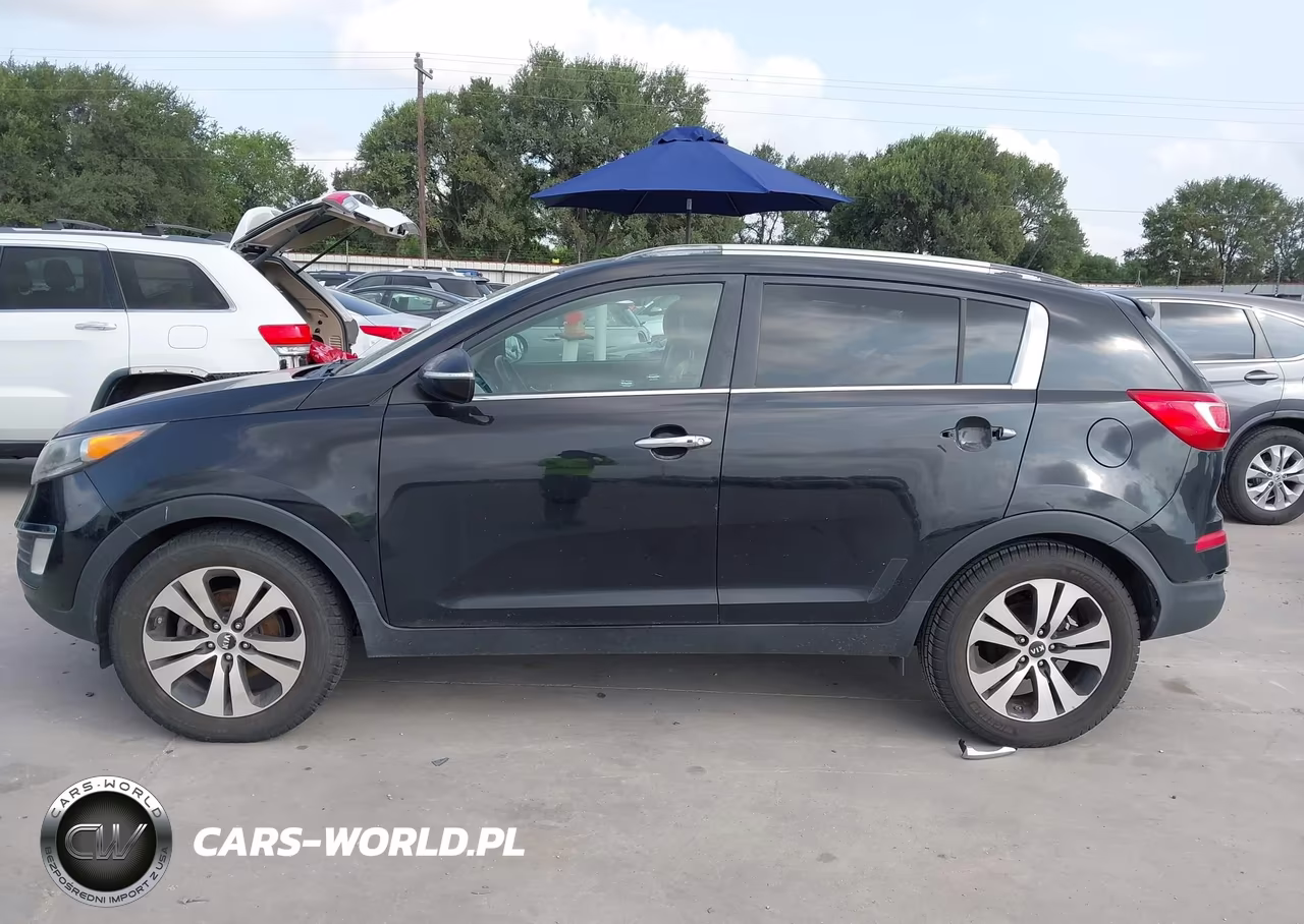 2012 Kia Sportage Ex VIN:KNDPC3A27C7260205 - 15