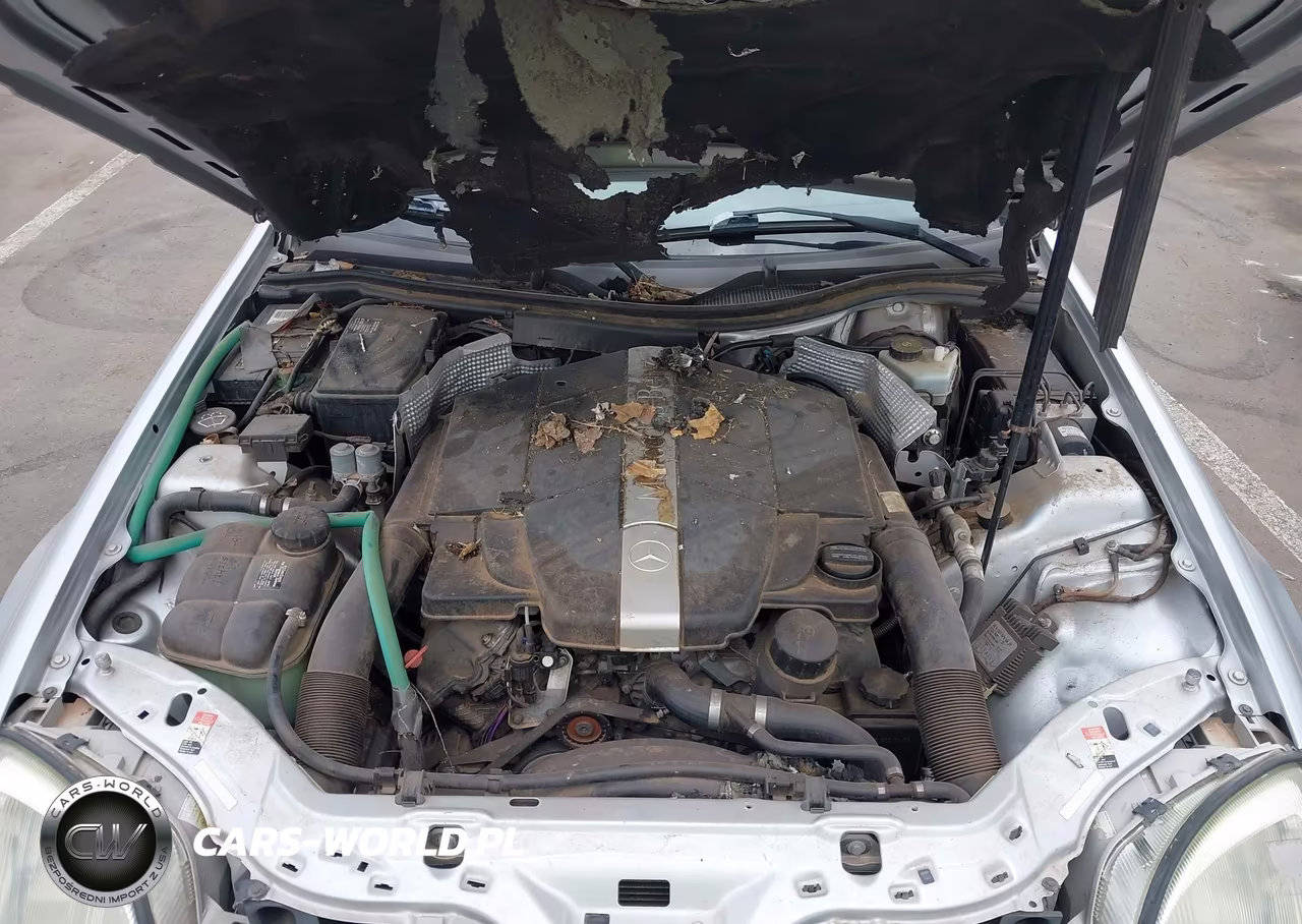 2001 Mercedes-Benz Slk 320 VIN:WDBKK65F71F200034 - 10