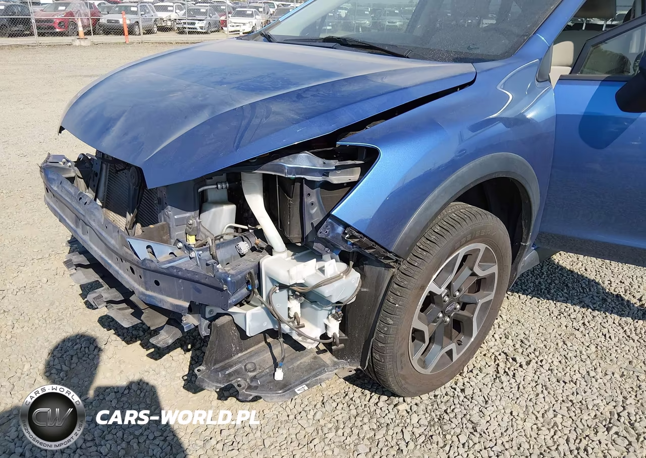 2016 Subaru Crosstrek 2.0I Premium VIN:JF2GPABC6GH252369 - 19
