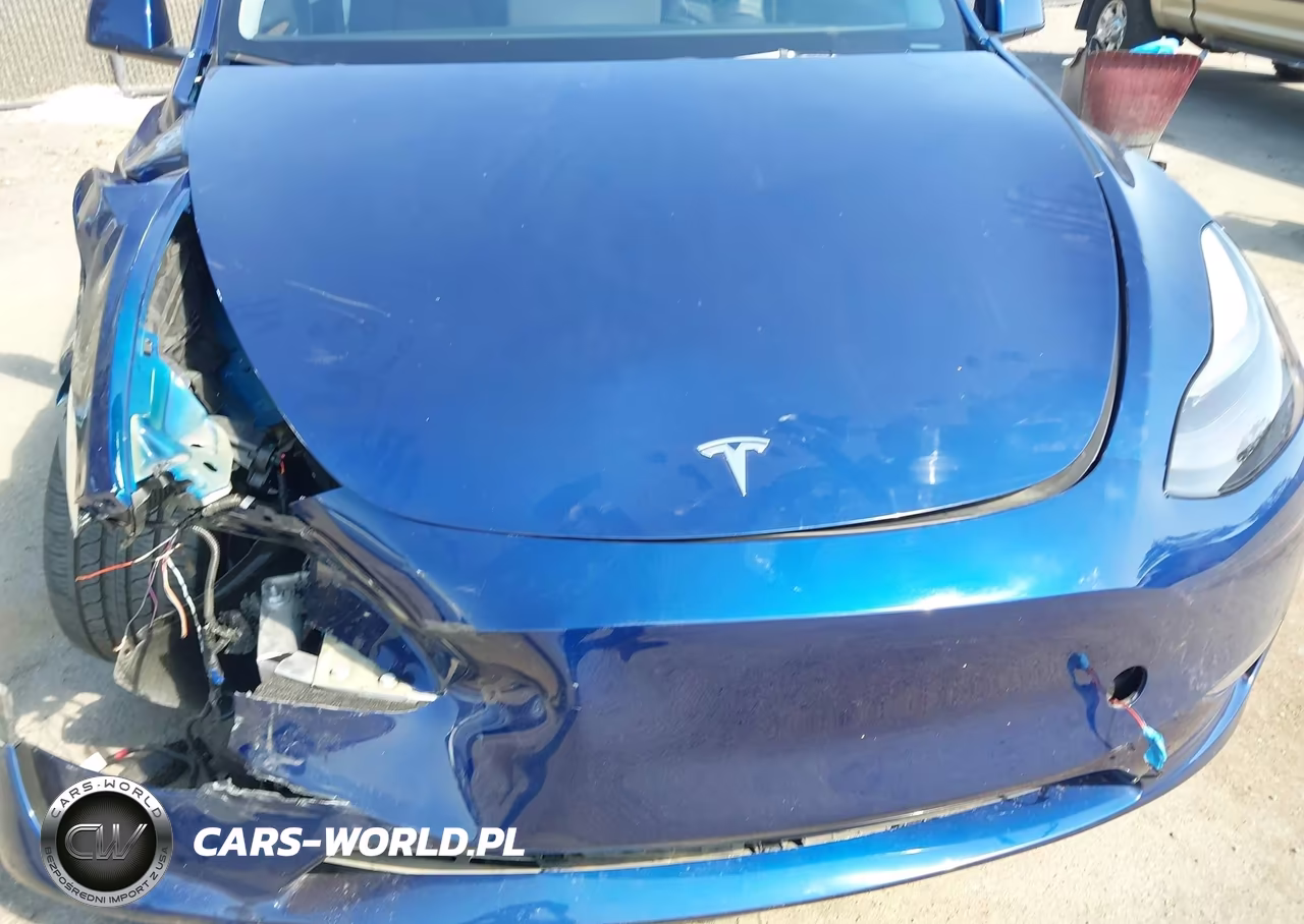 2024 Tesla Model Y Long Range Dual Motor All-Wheel Drive VIN:7SAYGDEE7RF031306 - 10