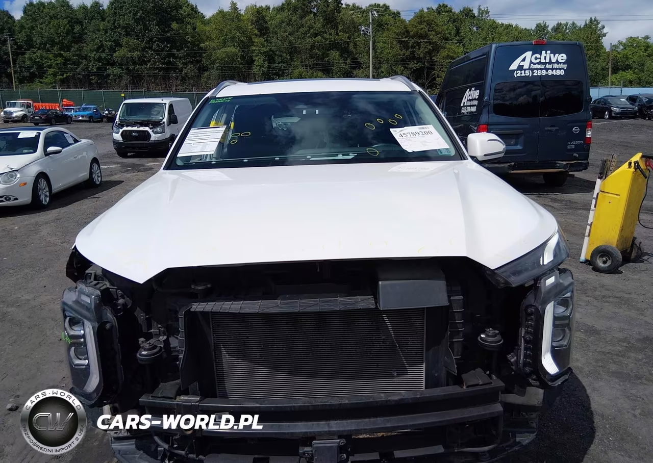 2020 Hyundai Palisade Sel VIN:KM8R4DHE0LU079391 - 12