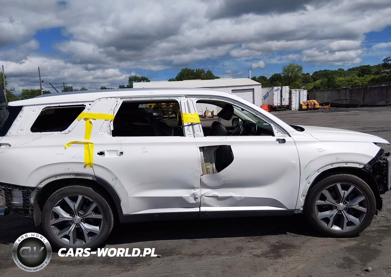 2020 Hyundai Palisade Sel VIN:KM8R4DHE0LU079391 - 13