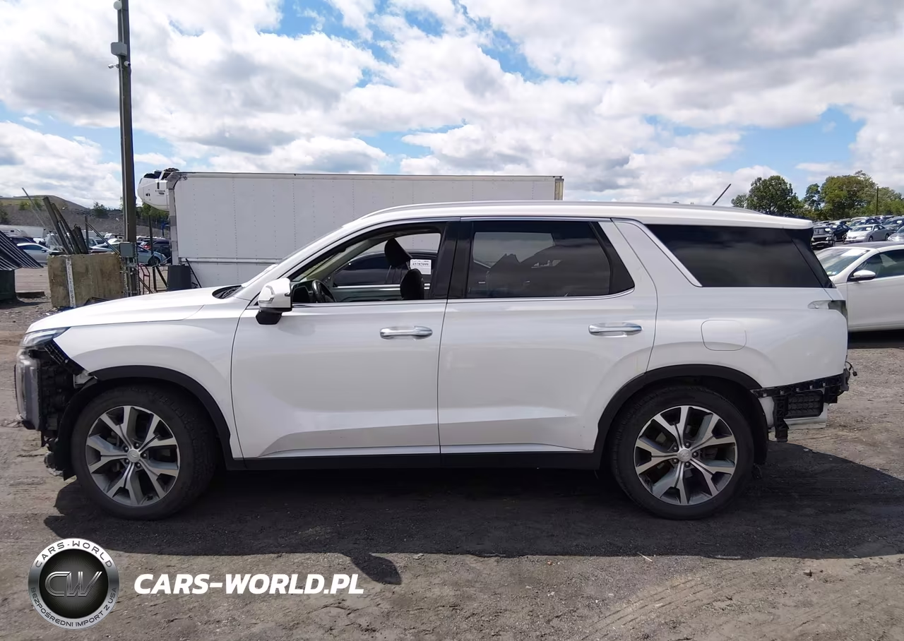 2020 Hyundai Palisade Sel VIN:KM8R4DHE0LU079391 - 14