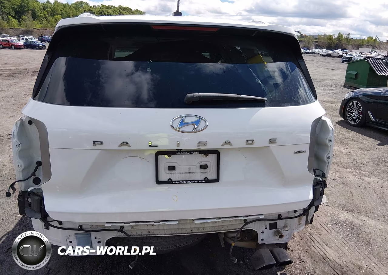 2020 Hyundai Palisade Sel VIN:KM8R4DHE0LU079391 - 16