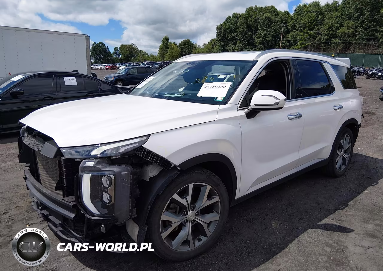2020 Hyundai Palisade Sel VIN:KM8R4DHE0LU079391 - 2