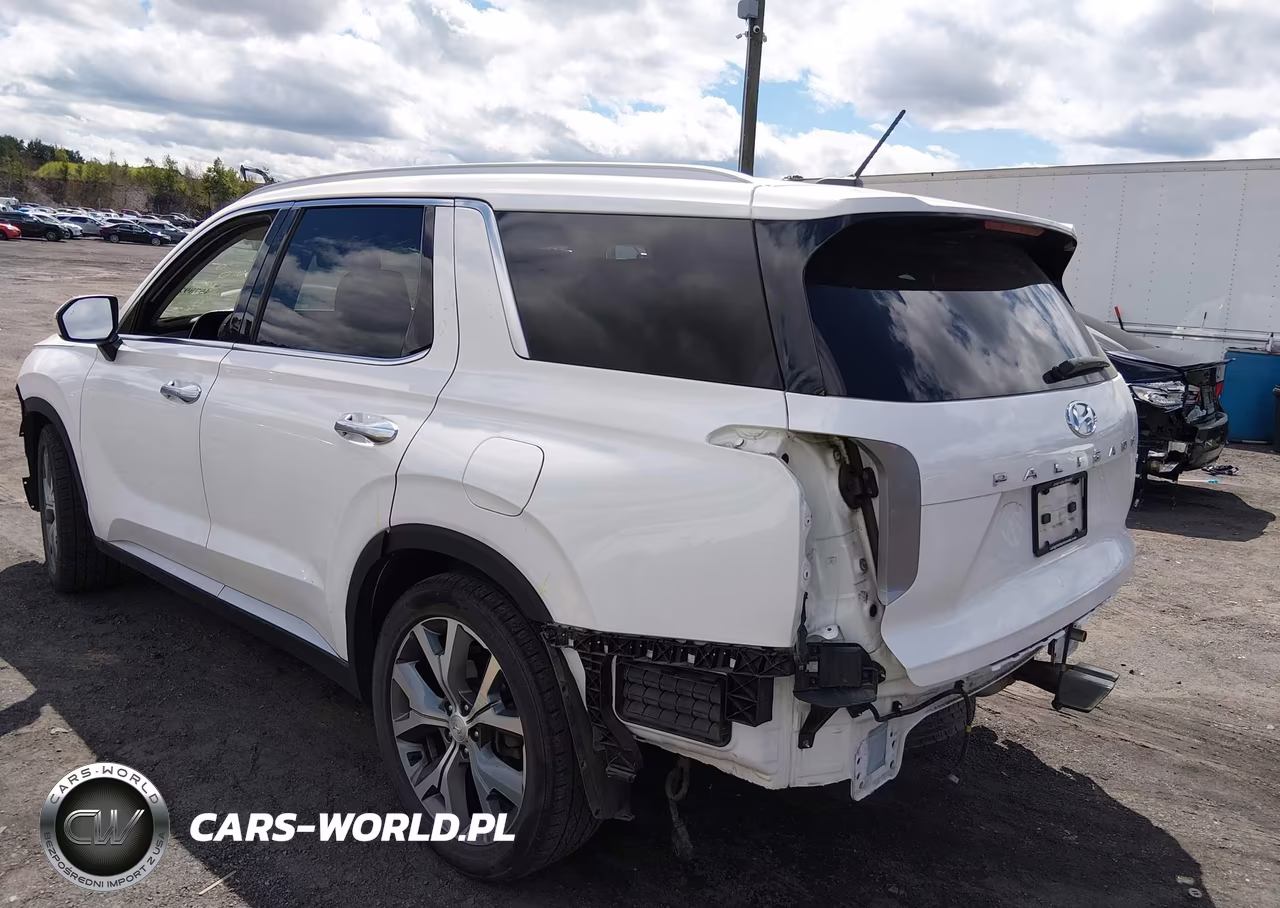 2020 Hyundai Palisade Sel VIN:KM8R4DHE0LU079391 - 3