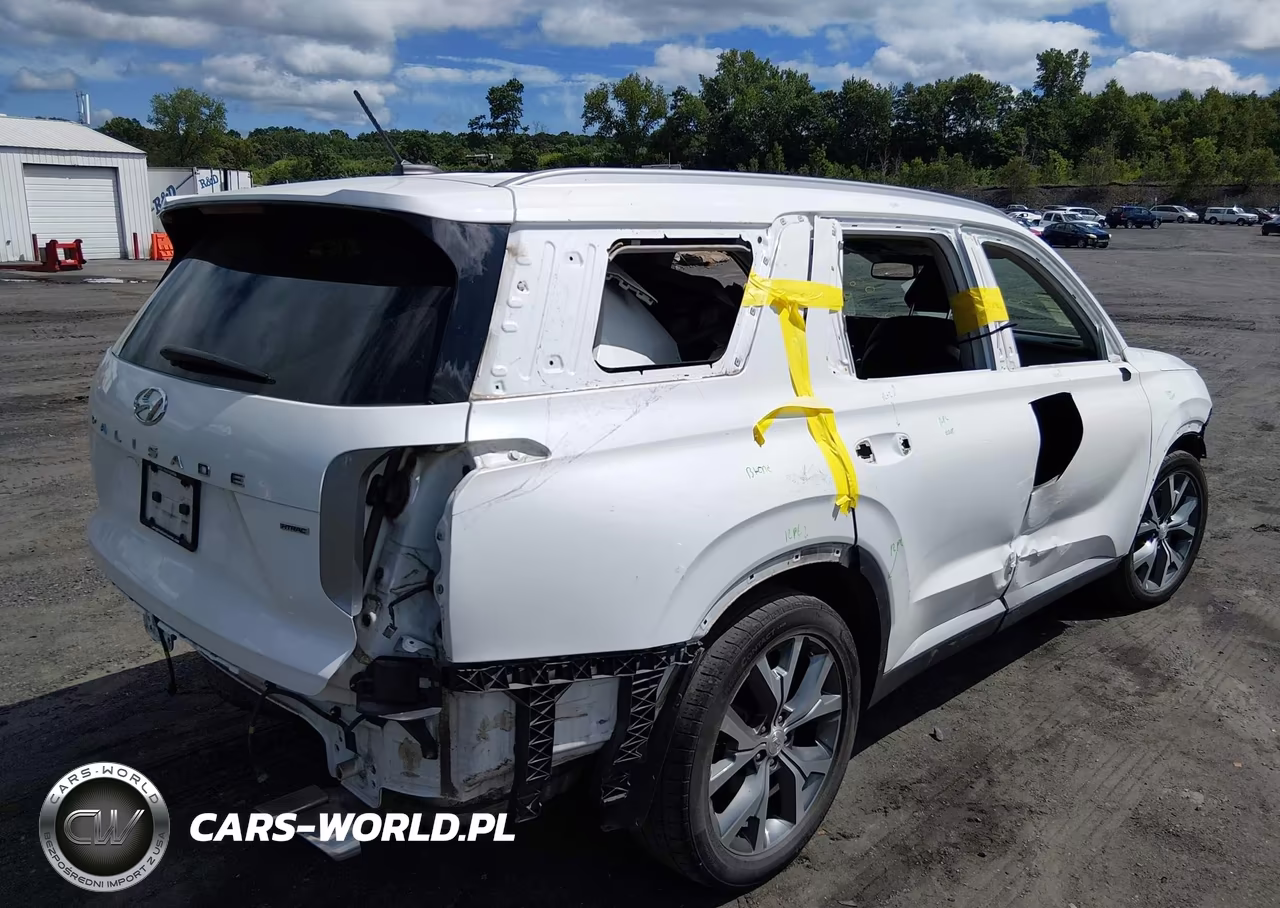 2020 Hyundai Palisade Sel VIN:KM8R4DHE0LU079391 - 4