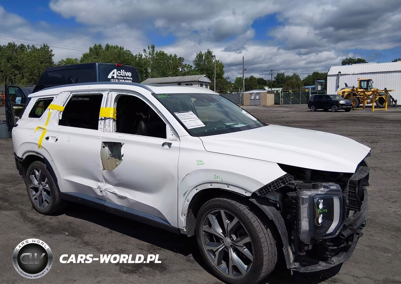 2020 Hyundai Palisade Sel VIN:KM8R4DHE0LU079391 - 6
