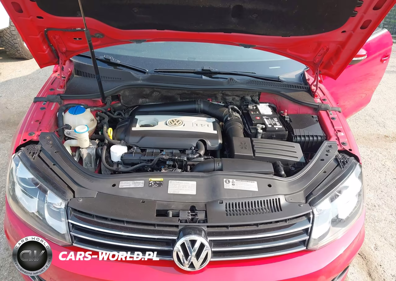 2014 Volkswagen Eos Executive VIN:WVWFW8AH1EV005195 - 10