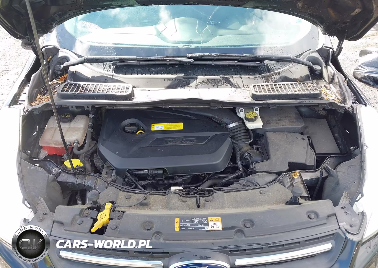 2014 Ford Escape Se VIN:1FMCU9GX9EUA18422 - 10