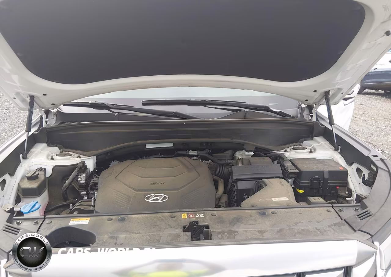 2023 Hyundai Palisade Calligraphy VIN:KM8R74GEXPU537470 - 10