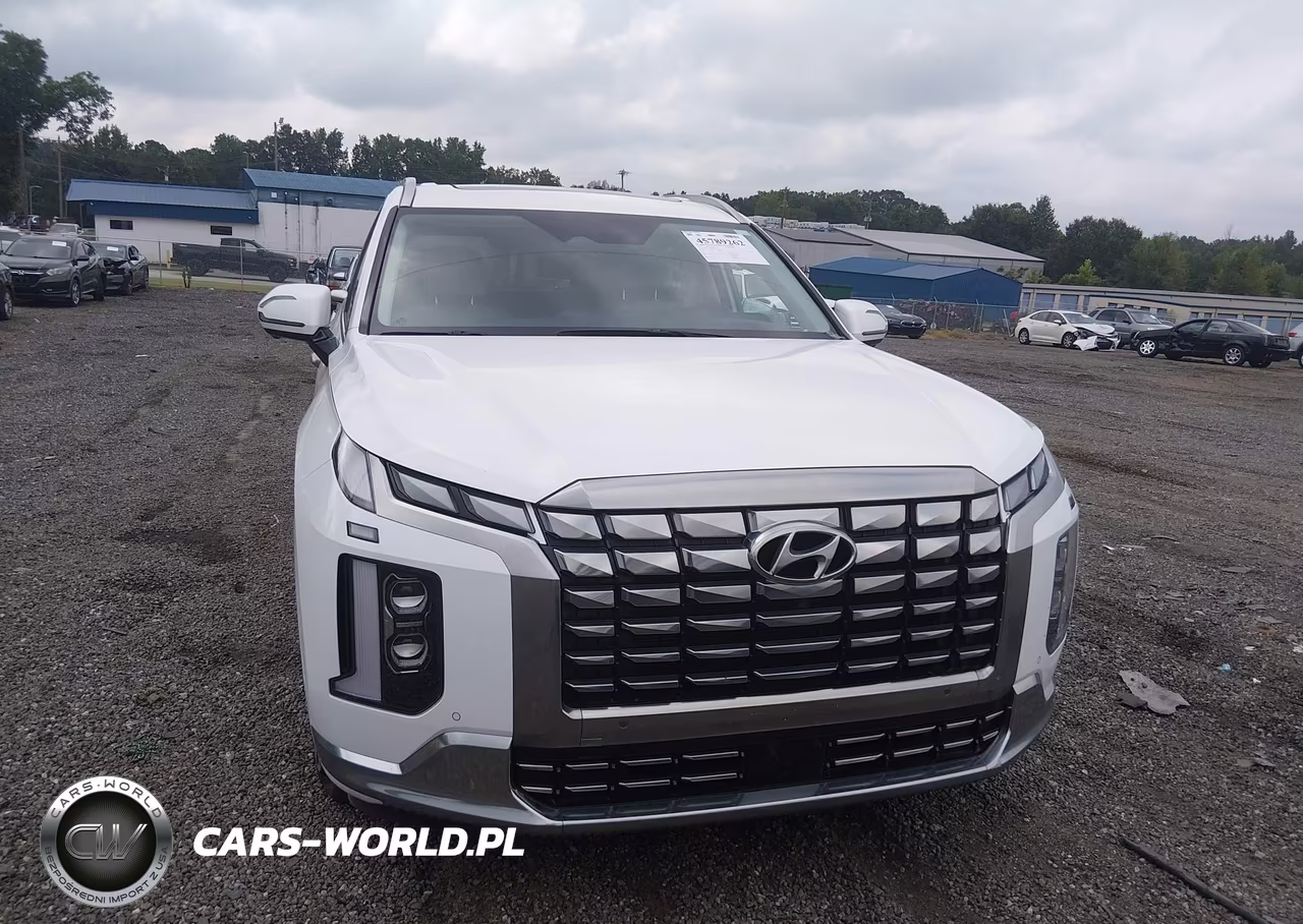 2023 Hyundai Palisade Calligraphy VIN:KM8R74GEXPU537470 - 12