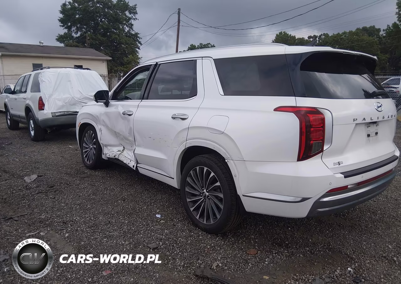 2023 Hyundai Palisade Calligraphy VIN:KM8R74GEXPU537470 - 3