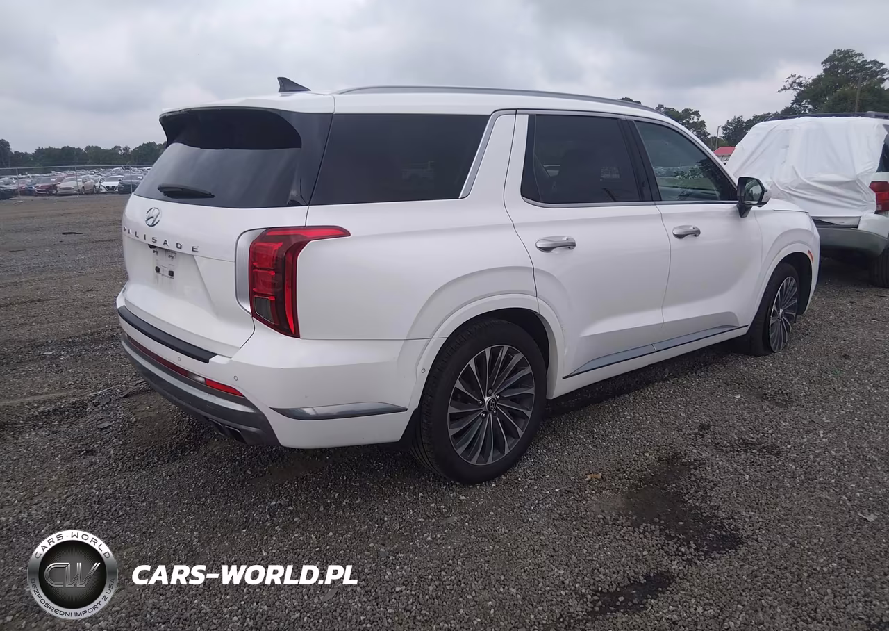 2023 Hyundai Palisade Calligraphy VIN:KM8R74GEXPU537470 - 4