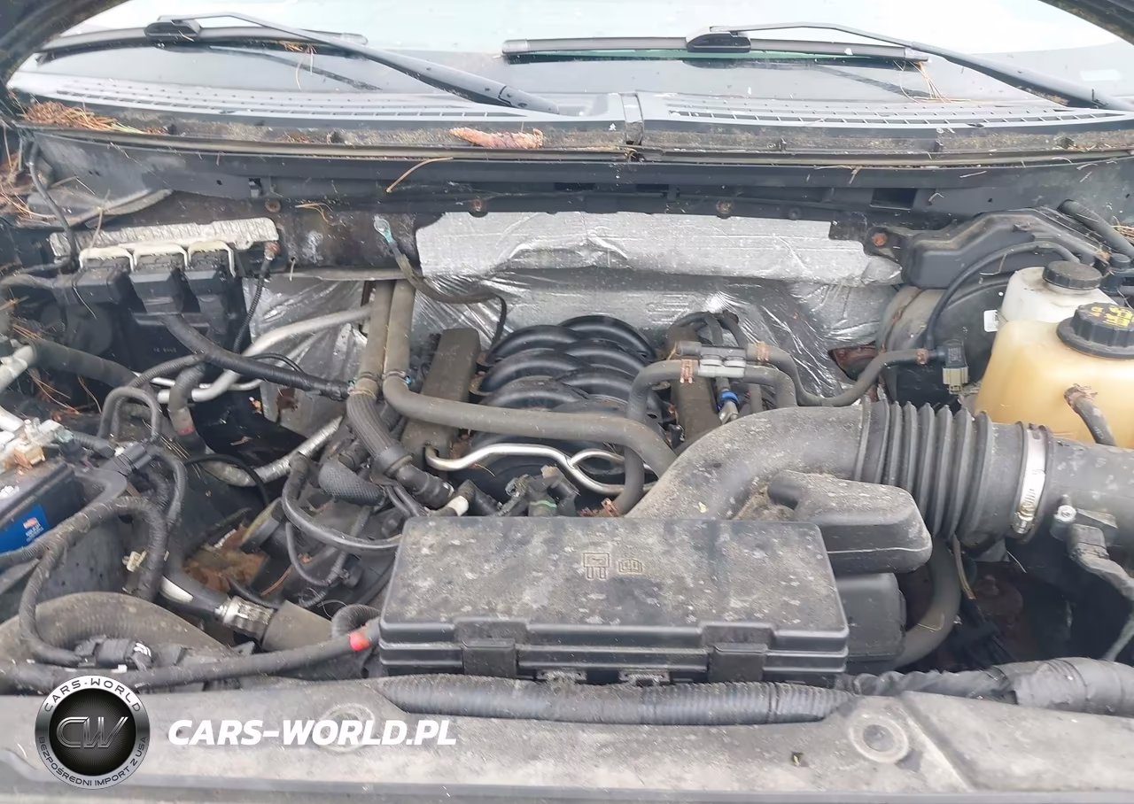 2013 Ford F-150 Stx VIN:1FTFX1EF0DKD57049 - 10