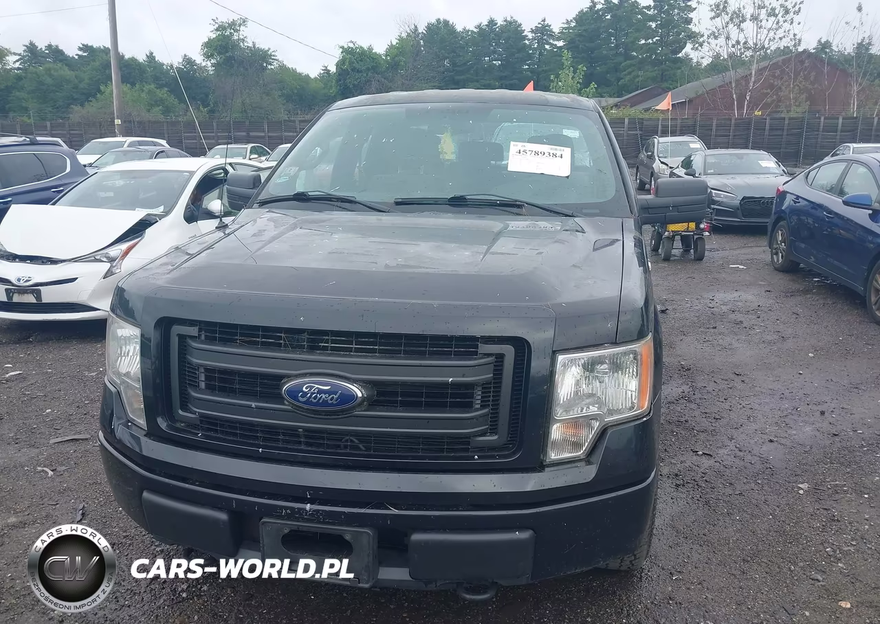 2013 Ford F-150 Stx VIN:1FTFX1EF0DKD57049 - 11