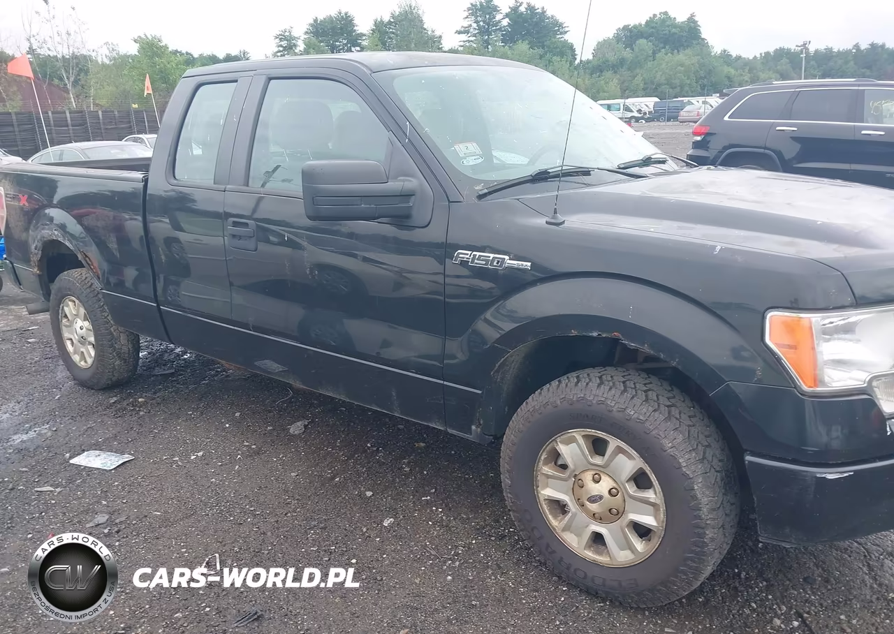 2013 Ford F-150 Stx VIN:1FTFX1EF0DKD57049 - 12