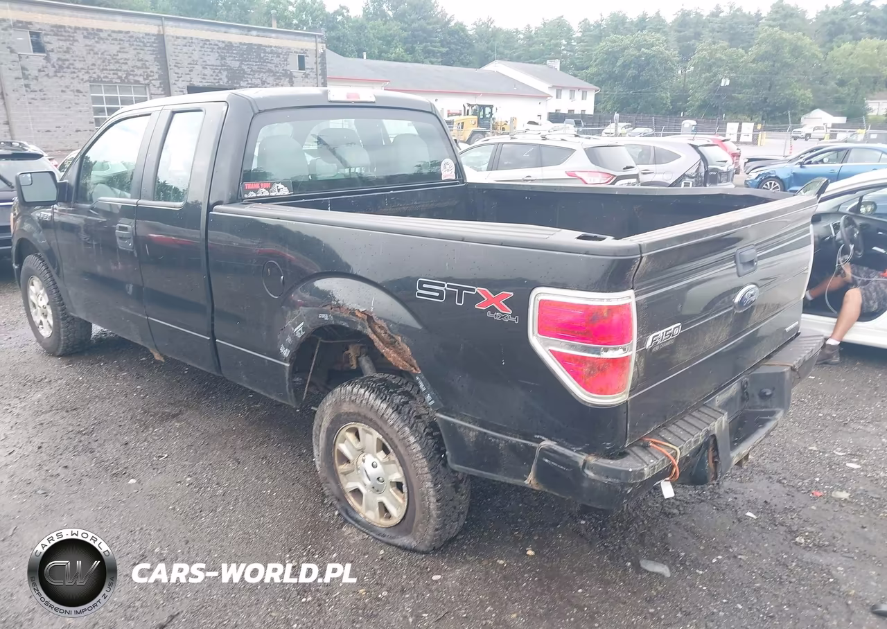 2013 Ford F-150 Stx VIN:1FTFX1EF0DKD57049 - 13