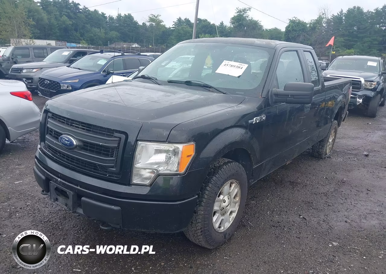 2013 Ford F-150 Stx VIN:1FTFX1EF0DKD57049 - 2