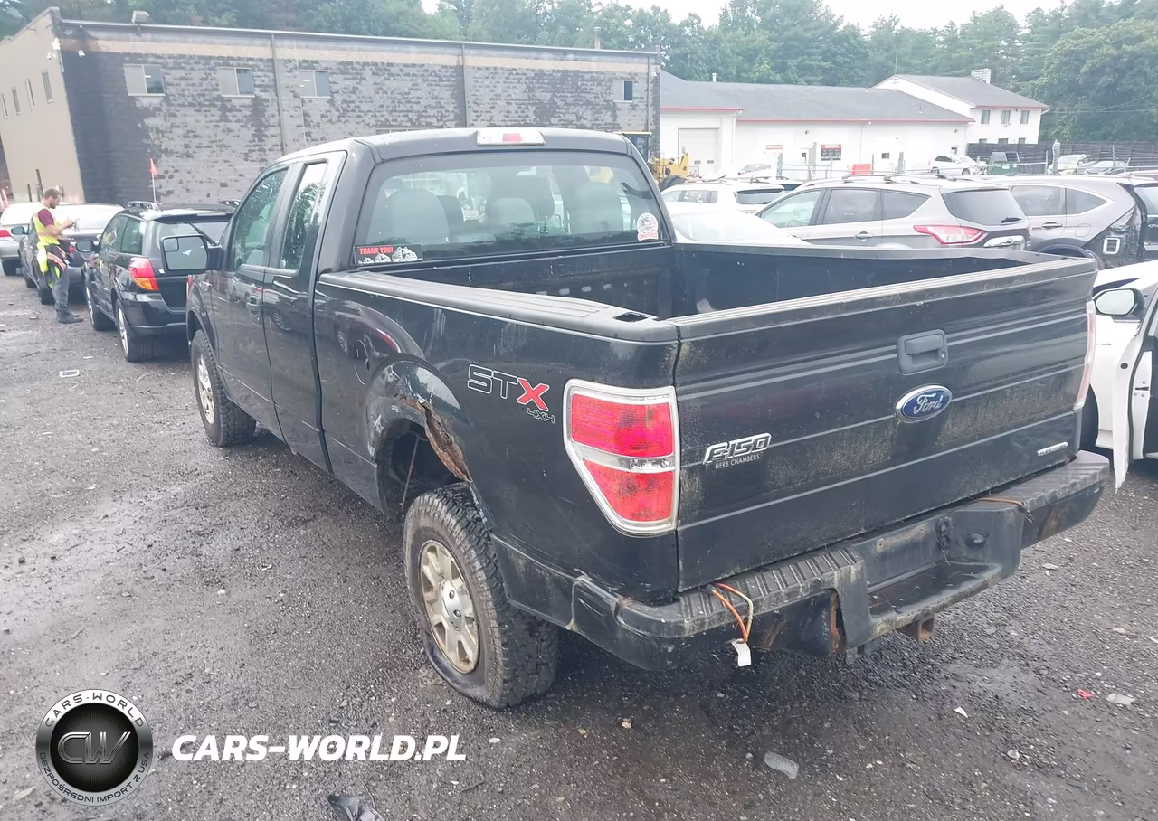 2013 Ford F-150 Stx VIN:1FTFX1EF0DKD57049 - 3
