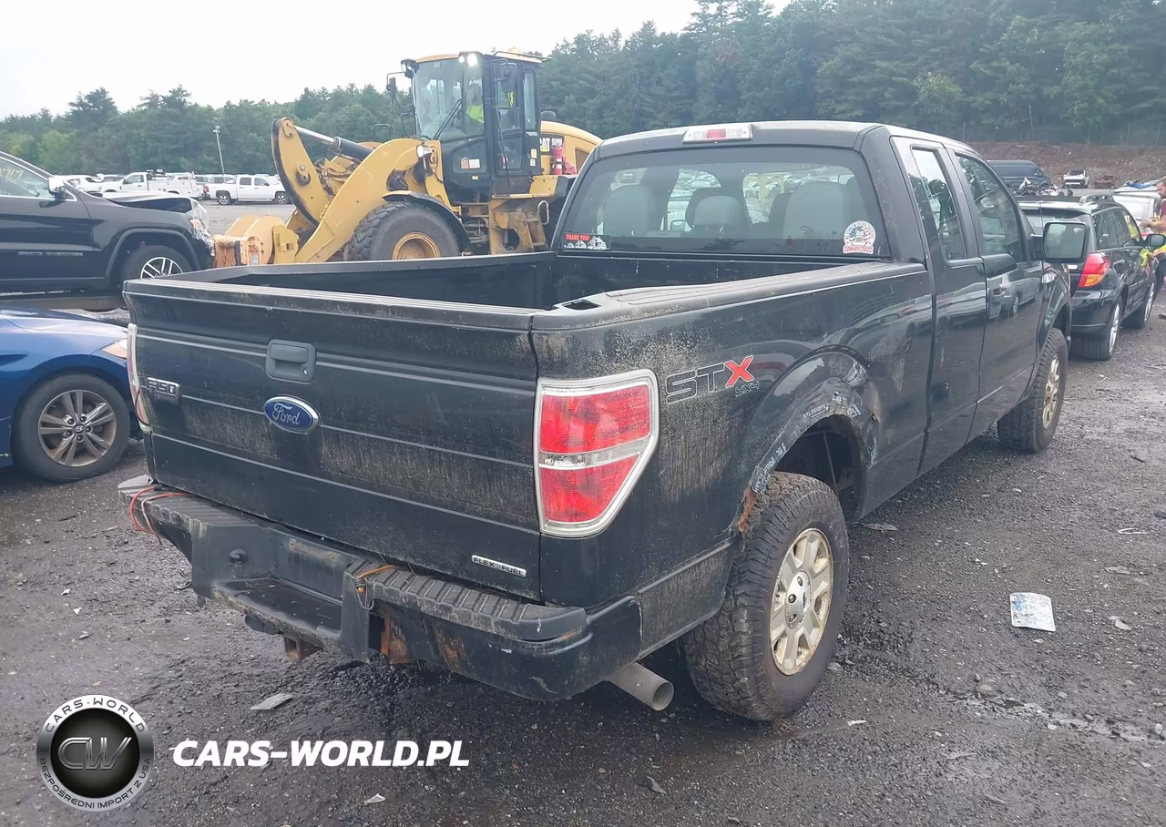 2013 Ford F-150 Stx VIN:1FTFX1EF0DKD57049 - 4