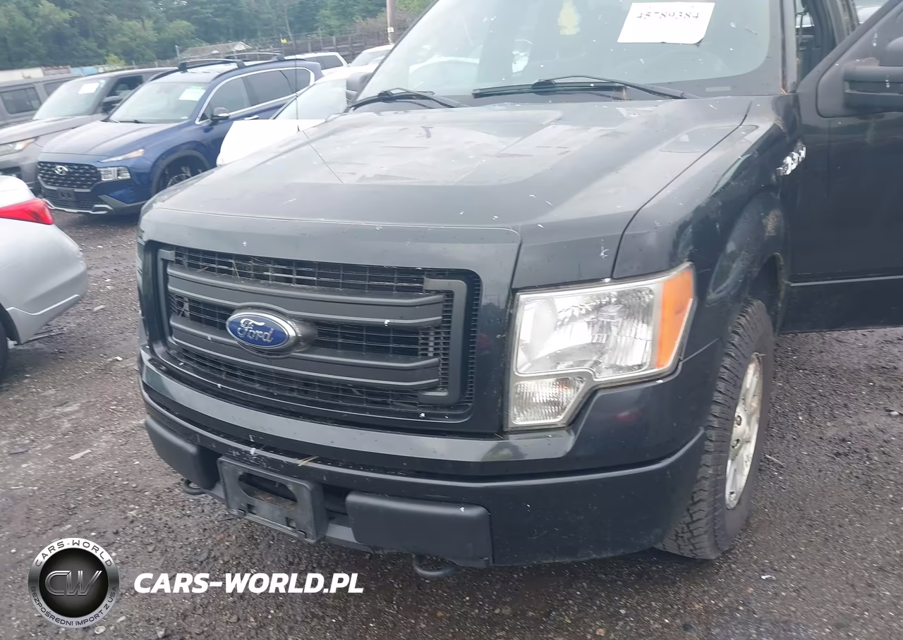 2013 Ford F-150 Stx VIN:1FTFX1EF0DKD57049 - 6