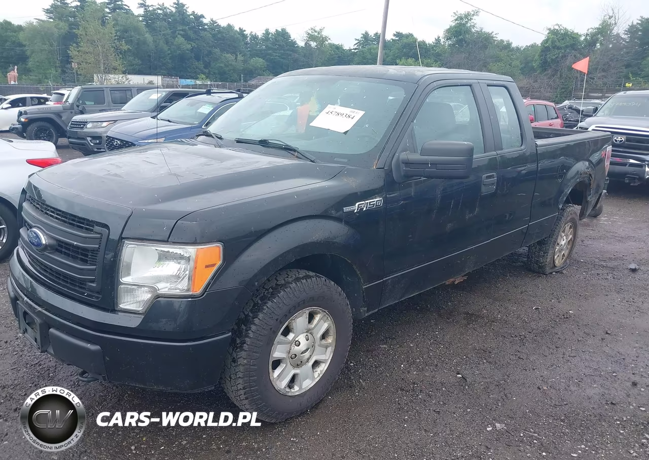 2013 Ford F-150 Stx VIN:1FTFX1EF0DKD57049 - 9