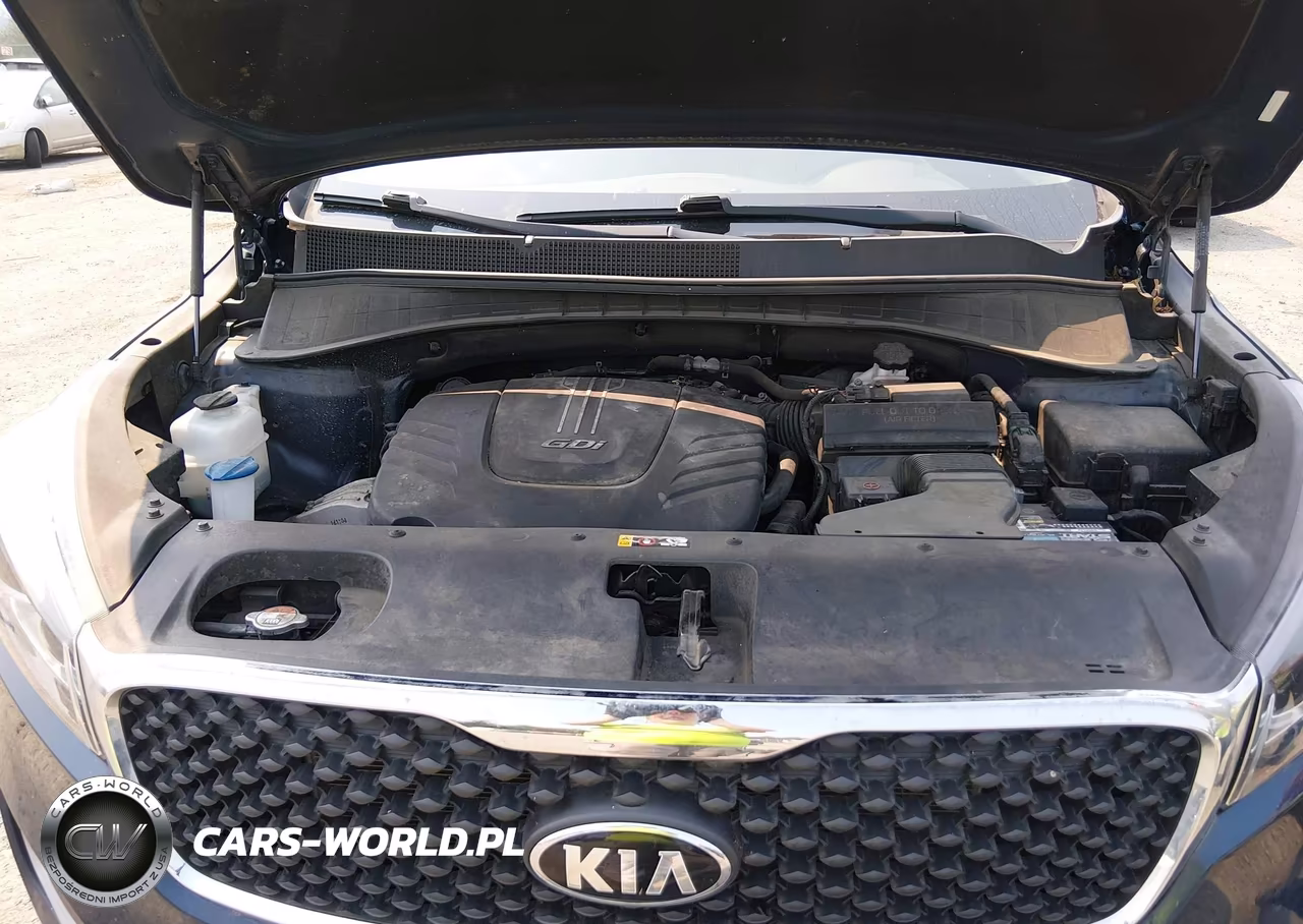 2017 Kia Sorento 3.3L Lx VIN:5XYPGDA54HG322495 - 10