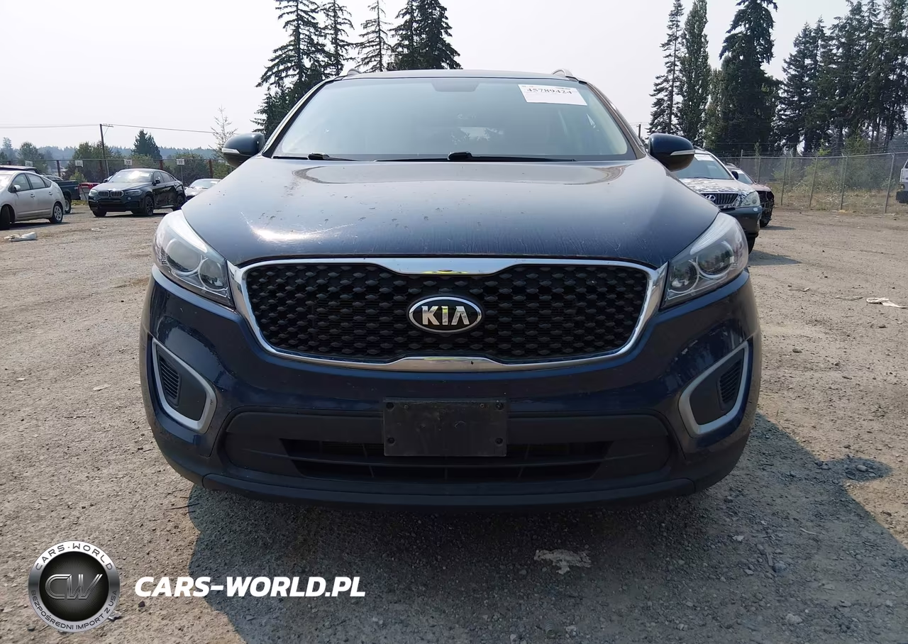 2017 Kia Sorento 3.3L Lx VIN:5XYPGDA54HG322495 - 12