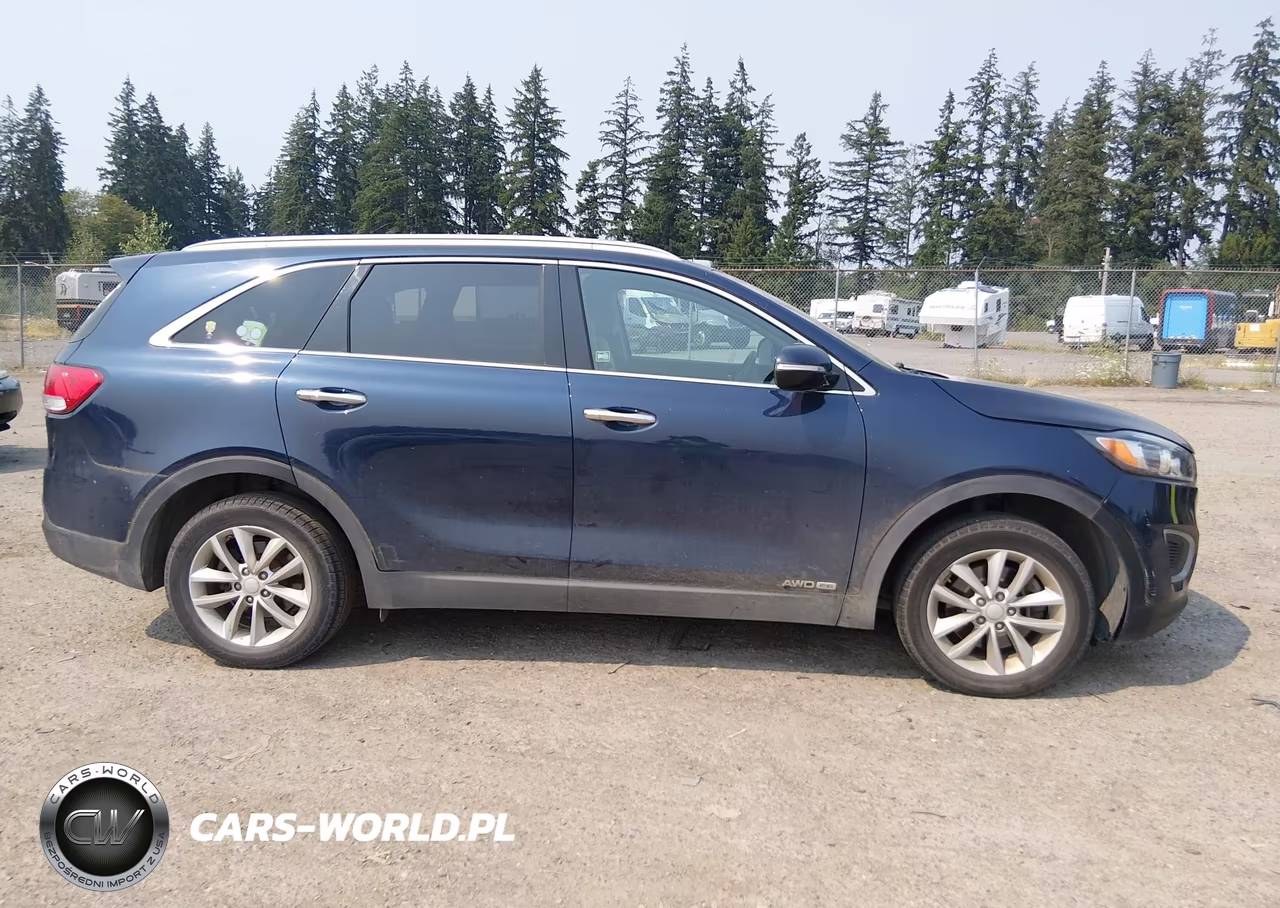 2017 Kia Sorento 3.3L Lx VIN:5XYPGDA54HG322495 - 13