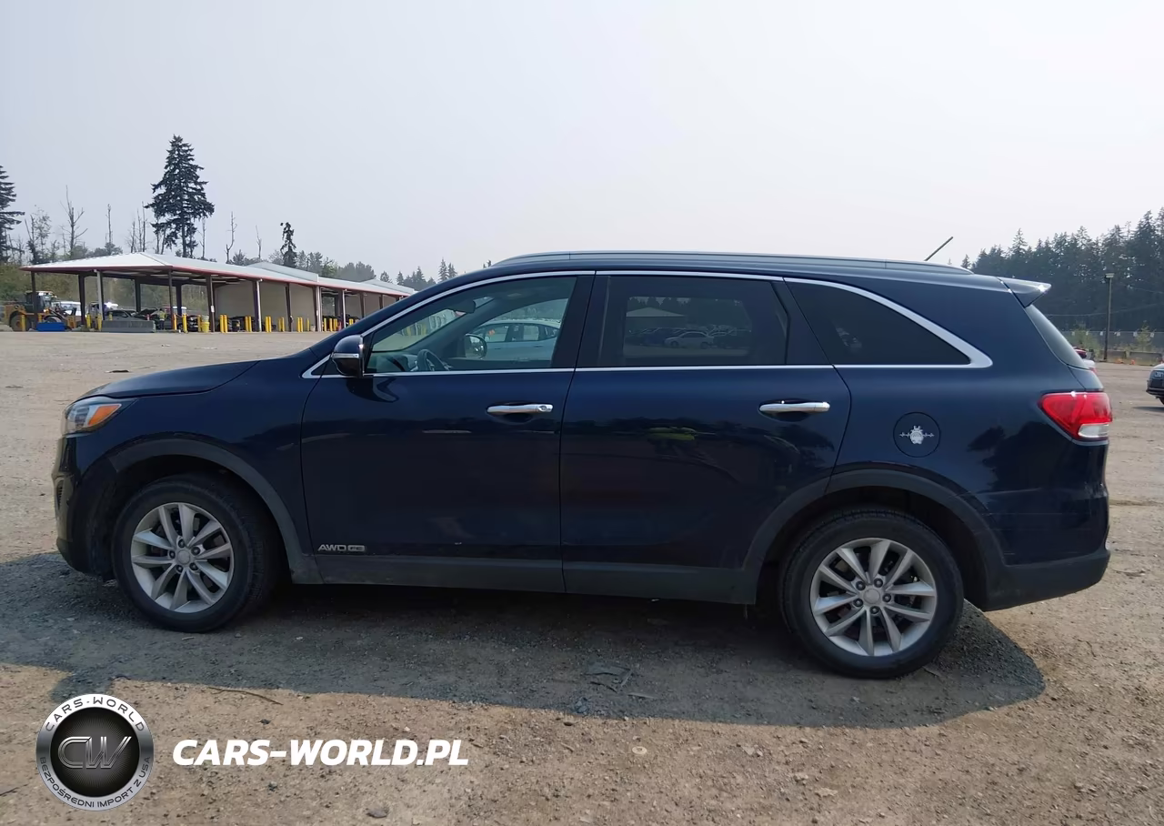 2017 Kia Sorento 3.3L Lx VIN:5XYPGDA54HG322495 - 14