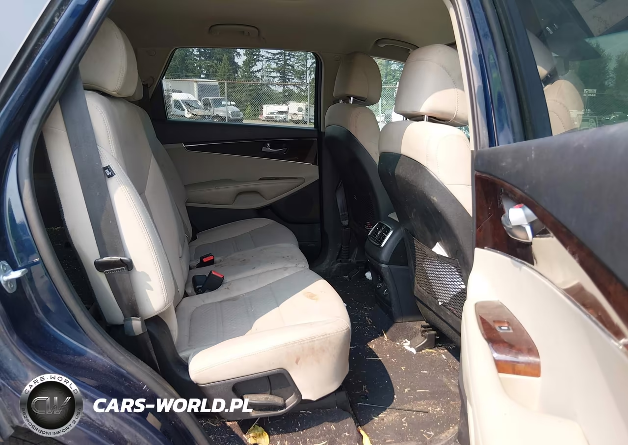 2017 Kia Sorento 3.3L Lx VIN:5XYPGDA54HG322495 - 8